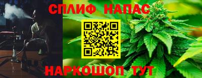 гидра Нарткала