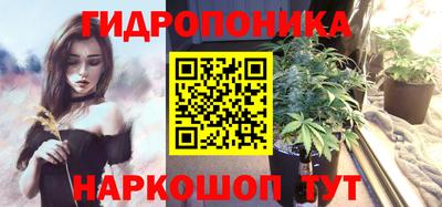 кокс Нальчик