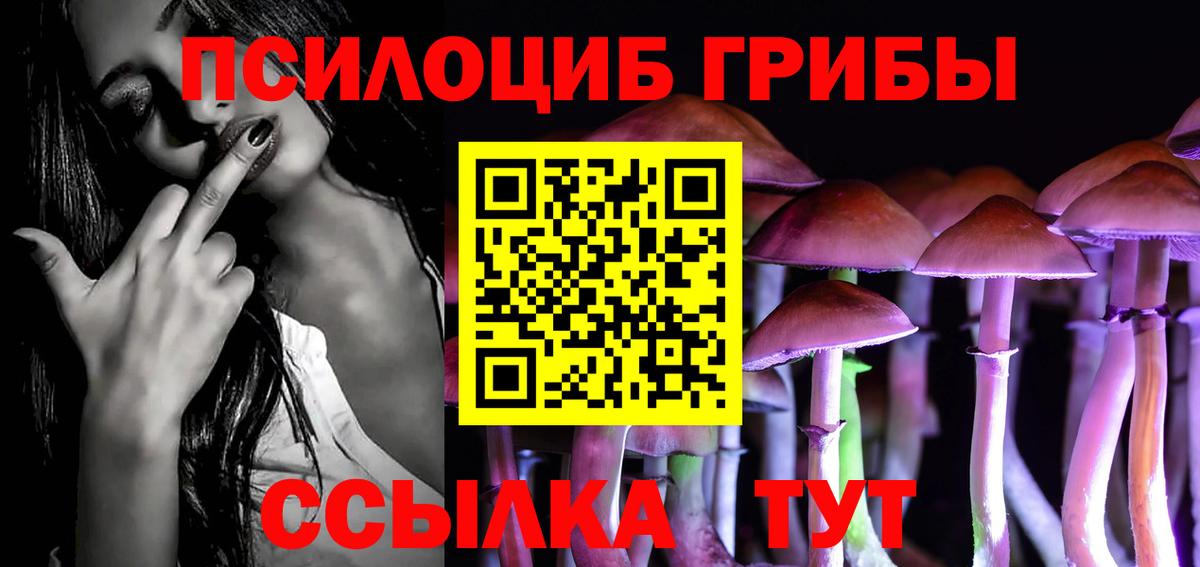 Галлюциногенные грибы MAGIC MUSHROOMS  цены   Томск  Вход с VPN 